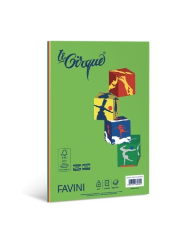 Carta colorata Favini Le Cirque Mix A4 80 g/m² risma da 100 fogli in 5 colori forti assortiti - A71X124