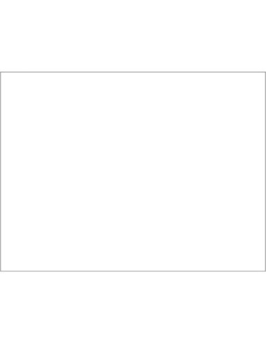 Tovaglietta Ristocart in carta bianca liscia 55 g conf. 250 pz 30x40cm EYTVT1157