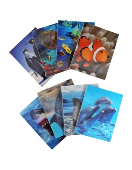 Espositore 80 mini quaderni Donau con copertina 3D - 6