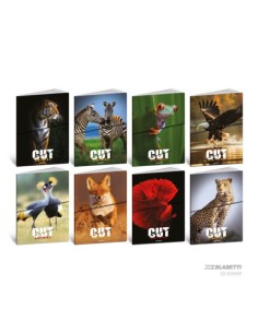 Maxi quaderno Blasetti Animal Cut A4 - 80 g/m² - 20+1 ff - bianco - conf. 10 pezzi - 9245