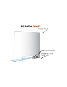 Paratia formato 60x60 cm policarbonato trasparente 05N01935375650