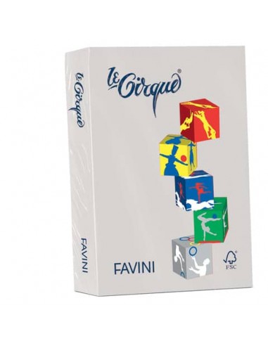 Carta colorata FAVINI LE CIRQUE per tutte le tecnologie di stampa 80 g/m² A4 grigio 109  500 fogli - A71U504