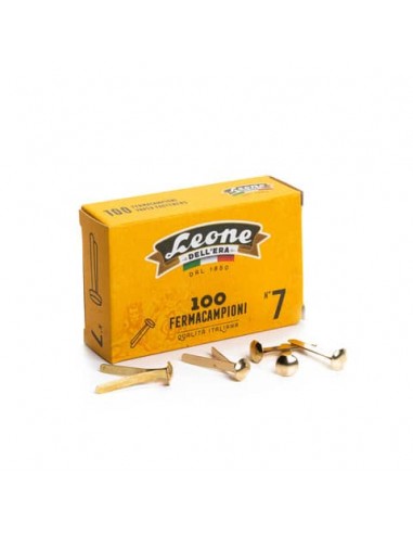 Fermacampioni Leone Dell'Era in acciaio testa bombata N.7 31 mm ottone scatola da 100 pz. - FC7