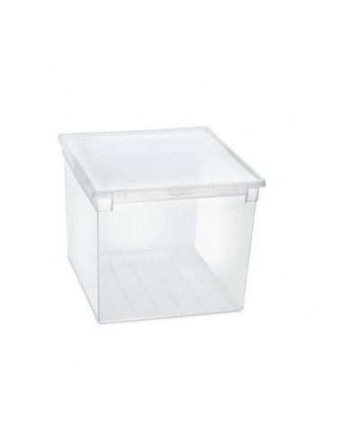 Contenitore multiuso TERRY Light Box 52 XXL 50 lt. trasparente 37