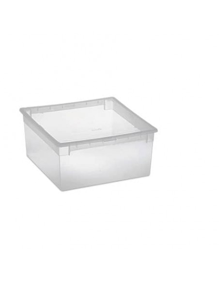 Contenitore multiuso TERRY Light Box L 23 lt. trasparente 37