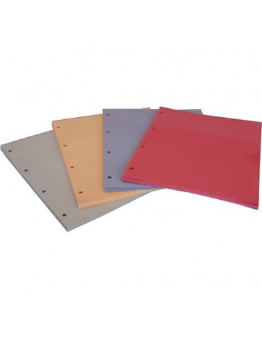 Divisori in cartoncino Manilla con fori EURO-CART 23x30 cm rosso conf. da 100 pezzi DM04RO C/FORI_DESK