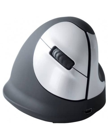 Mouse verticale per destrorsi R-GO Tools laser nero 165-195 mm wireless RGOHEWL
