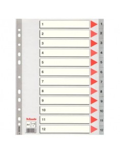 Divisori per rubrica Esselte A4 PPL numerica 1-12 100106