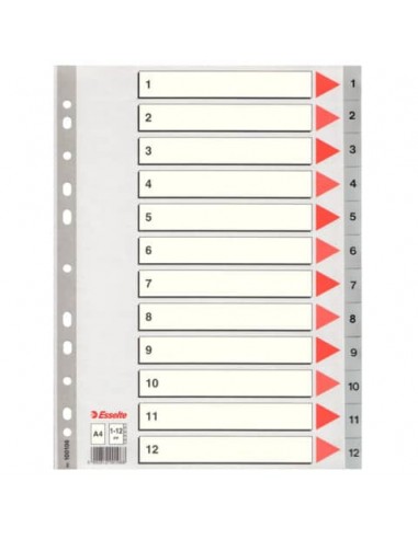 Divisori per rubrica Esselte A4 PPL numerica 1-12 100106
