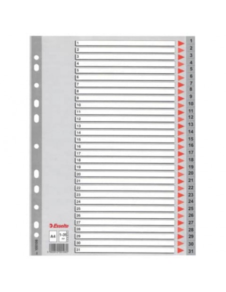 Divisori per rubrica Esselte A4 PPL numerica 1-31 100108