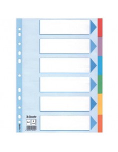 Divisori Esselte intercalari 6 tasti cartoncino 160 gr/mq A4 100192