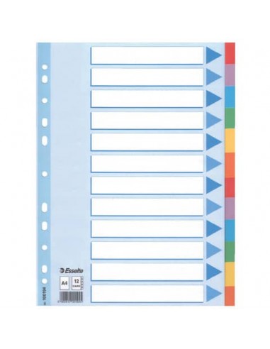 Divisori Esselte intercalari 12 tasti cartoncino 160 gr/mq A4 100194