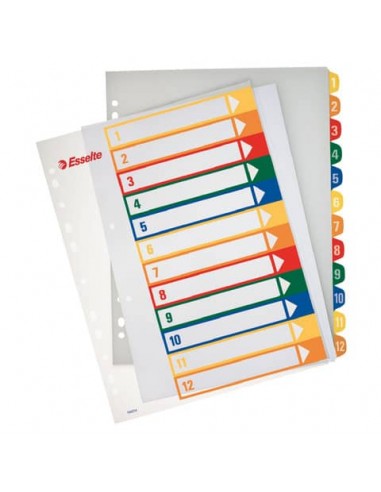 Rubrica in PPL Esselte extra numerica 1-12 con indice stampabile a PC A4 maxi - 100214