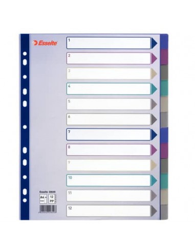 Divisore Esselte Intercalare 12 tasti A4 Maxi 20649