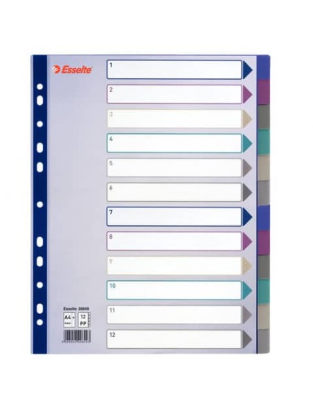 Divisore Esselte Intercalare 12 tasti A4 Maxi 20649