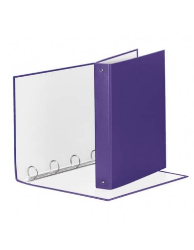 Raccoglitore Esselte Meeting a 4 anelli tondi 30mm cartone rivestito in PP viola 22x30cm dorso 4cm - 395792950