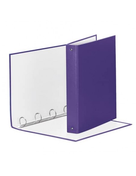 Raccoglitore Esselte Meeting a 4 anelli tondi 30mm cartone rivestito in PP viola 22x30cm dorso 4cm - 395792950