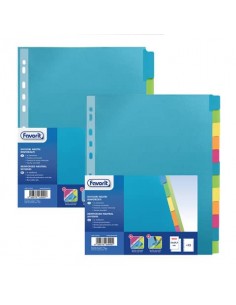 Divisore personalizzabile Favorit Strong Line A4+ 6 tacche neutre assortiti 400132504