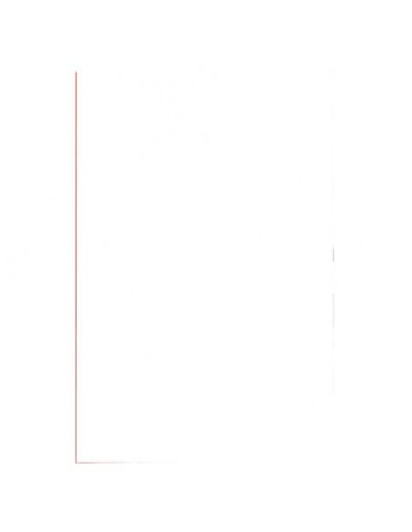 Pouches per plastificatrici Fellowes Standard Capture125 finitura lucida - 2x125 µm - A6 - Conf. 100 pezzi 5307201