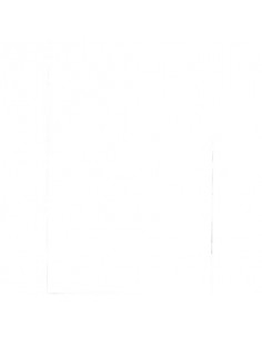 Pouches per plastificatrici Fellowes Standard Capture125 finitura lucida - 2x125 µm - A2 - Conf. 50 pz - 5309302