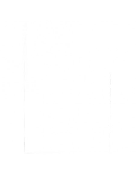 Pouches per plastificatrici Fellowes Standard Capture125 finitura lucida - 2x125 µm - A2 - Conf. 50 pz - 5309302