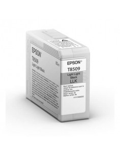 Cartuccia inkjet Epson nero chiaro  C13T850900