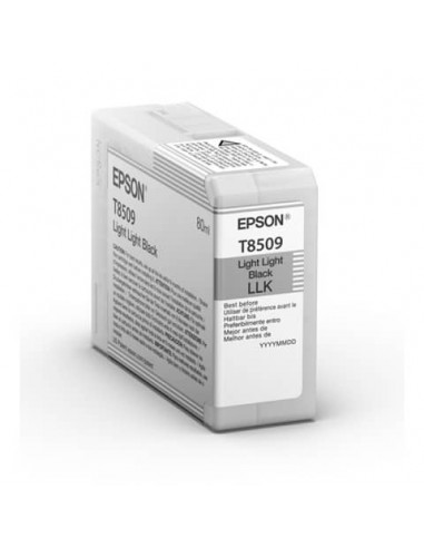 Cartuccia inkjet Epson nero chiaro  C13T850900