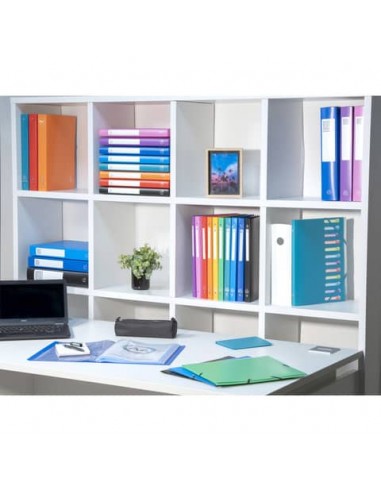 Portalistini Exacompta LINEA OPACO 8 colori assortiti ppl A4 30 buste 8530E