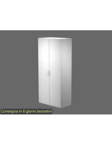 Armadio alto con ante battenti bianco 80x46xH.181