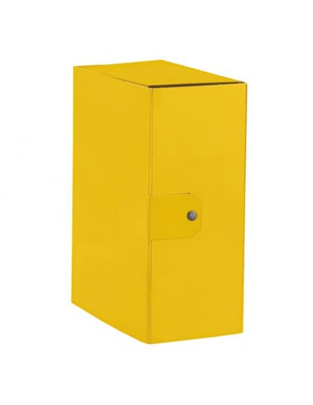 Cartelle portaprogetti Esselte C95 DELSO ORDER dorso 15 cm presspan lucido giallo 25x35 cm - 390395090