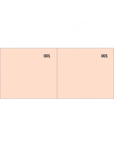 Scontrino colorato a 2 sezioni Data Ufficio blocco 100 copie prenumerate rosso - DU160000020