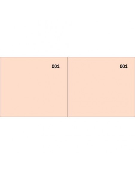 Scontrino colorato a 2 sezioni Data Ufficio blocco 100 copie prenumerate rosso - DU160000020
