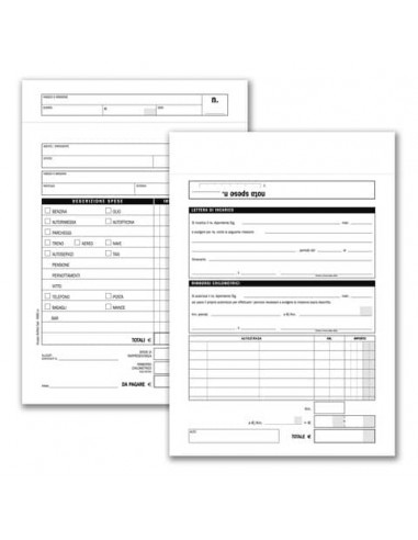 Buste-Nota spese da rimborsare Data Ufficio - 25 buste staccabili con voci prestampate - 23x16 cm 666600000
