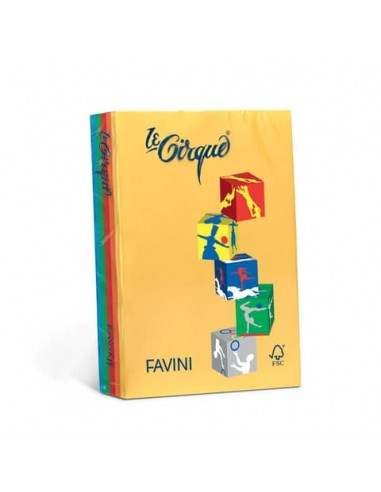 Carta colorata Favini Le Cirque A4 160 g/m² assortiti 5 colori forti risma da 250 fogli - A74X314