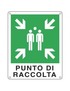 Cartello d'emergenza 25x31 cm Cartelli Segnalatori ''Punto di raccolta'' E20153X
