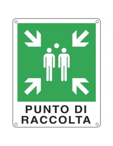 Cartello d'emergenza 25x31 cm Cartelli Segnalatori ''Punto di raccolta'' E20153X