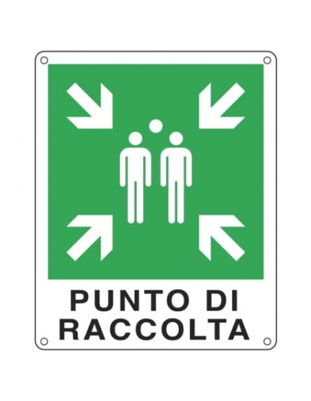 Cartello d'emergenza 25x31 cm Cartelli Segnalatori ''Punto di raccolta'' E20153X