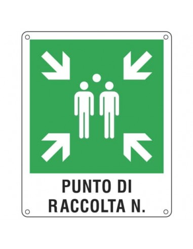 Cartello d'emergenza 40x50 cm Cartelli Segnalatori ''Punto di raccolta'' E20171Y