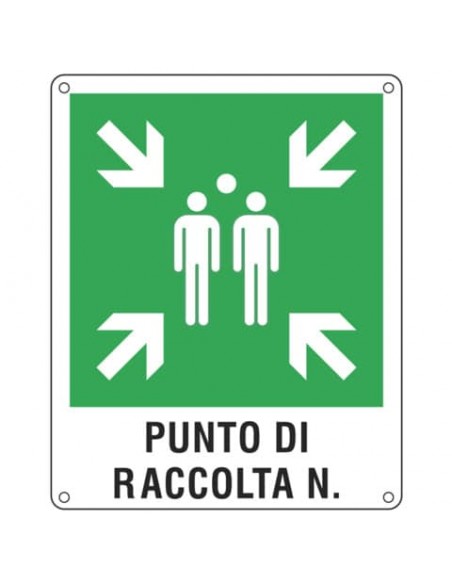 Cartello d'emergenza 40x50 cm Cartelli Segnalatori ''Punto di raccolta'' E20171Y