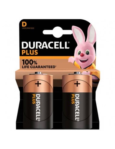 Batteria alcaline Duracell Plus100 Torcia D - MN1300 - blister da 2  - DU0401