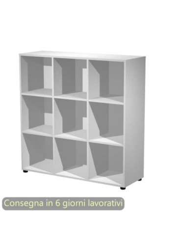 Contenitore 9 caselle a giorno Maximail 119x40xH.121