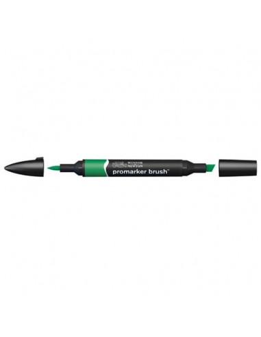 Pennarelli doppia punta Winsor&Newton Promarker brush lush green G756 - 0204228