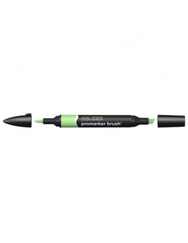 Pennarelli doppia punta Winsor&Newton Promarker brush apple G338 - 0204210