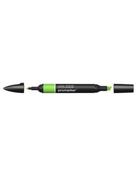Pennarelli doppia punta Winsor&Newton Promarker bright green G267 - 0203069