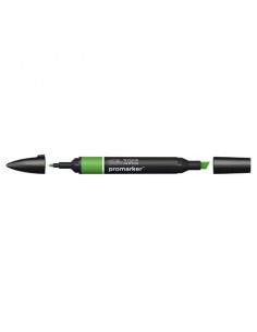 Pennarelli doppia punta Winsor&Newton Promarker forest green G356 - 0203068