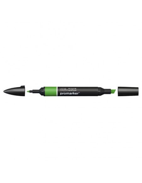 Pennarelli doppia punta Winsor&Newton Promarker forest green G356 - 0203068