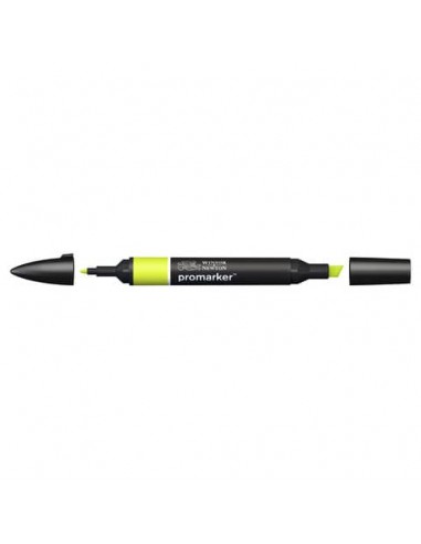 Pennarelli doppia punta Winsor&Newton Promarker lime green G178 - 0203071