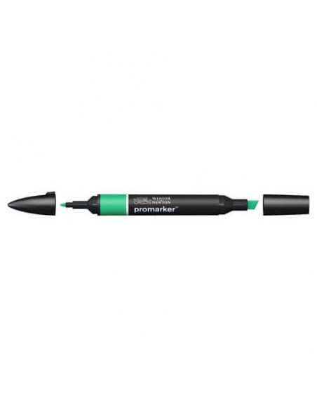 Pennarelli doppia punta Winsor&Newton Promarker emerald G657 - 0203235