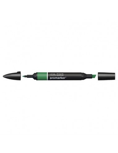 Pennarelli doppia punta Winsor&Newton Promarker verde pino G635 - 0203244