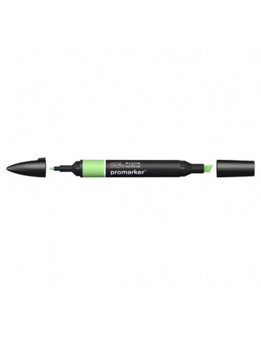 Pennarelli doppia punta Winsor&Newton Promarker apple G338 - 0203210